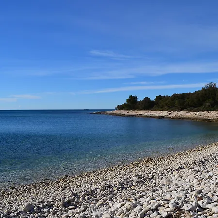 Phasiana Фажана