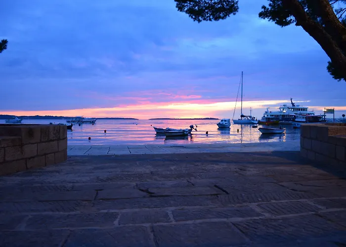 Phasiana 호텔 파자나